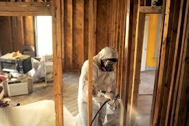Mold Removal Scams
